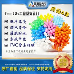 元工場の穴開けランプの外に漏れたランプのledランプの列の9 mm12vのパッチの広告の字の屋外の標識は文旅の景観を明るくします。