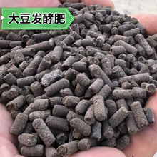 �l�ʹ󶹺������l�ЙC�ʸ��������Nֲ�ø�����������ʷʸ���