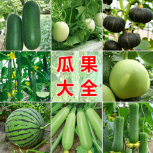 һ�����l�߹��N��ˮ��������Ϲ��ܹ϶��ϷN����ϷN�Ӳ������Լ�