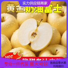 【活动款】山东黄金奶油富士苹果新鲜水果当季冰糖心牛奶脆甜