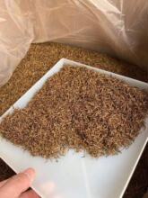 ͩľ�P���Eüѿ��ѿ�t���ѿɢ�b500g����������ɽ��ɽС�N���~