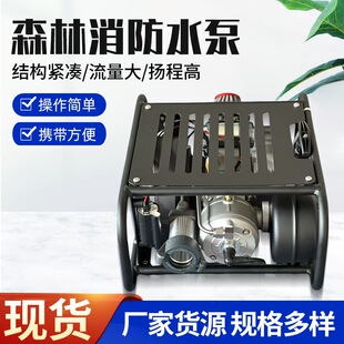 ��yʽɭ�������� �p�����_���x�ıó����ʸ߉��� ɭ�֜��ˮ��