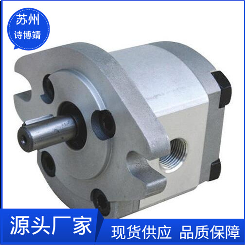 力士乐REXROTH内啮合齿轮泵R900929973 PGF2-2X/008RA01VP2-A381