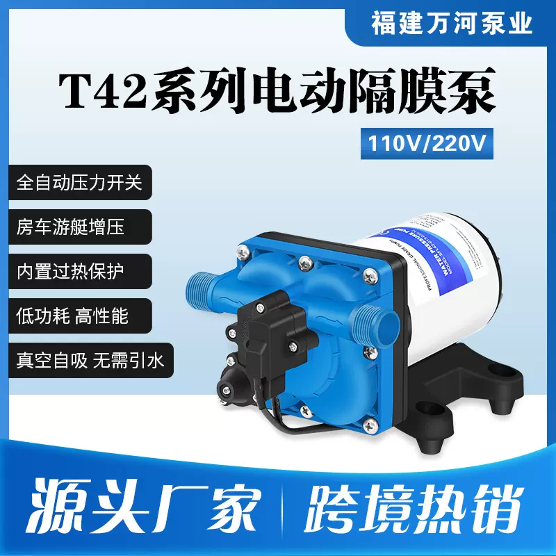 跨境11升110V交流电动隔膜泵220V自吸泵家用水压增压泵抽水往复泵