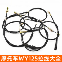 �m������Ħ��܇WY125-A-C-F������̾��x�Ͼ��D�پ��L�T�����T��