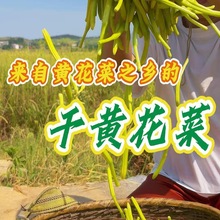 �S���˸�؛�r���ԷN�o���S���˻�偳���ʳ�ĸ�؛