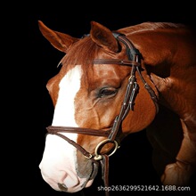 �R�ί���ͶƱ�|�h�t�⾀���������m���o������°;o���ṩ����