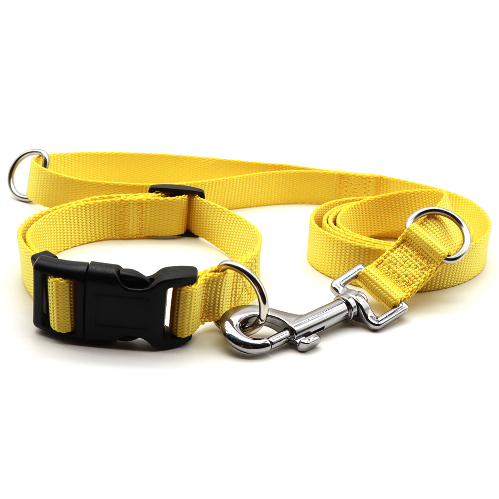 Suministros para mascotas collar perro correa de entrenamiento para perros suministros macaron color Doble D Hebilla correa de perro ajustable