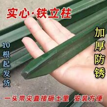 ţ��ײ�F�z�W�F��Y���F�����h������ͥԺ�F�U�������Ӻ���������