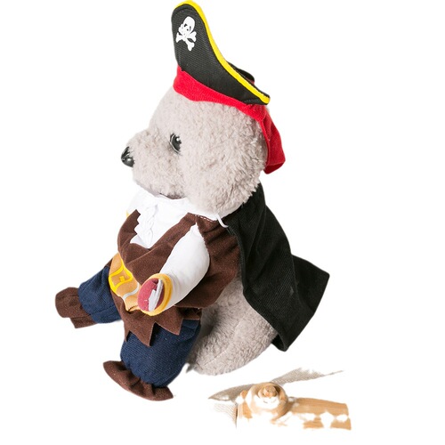 Funny dog ​​clothes, cat, funny Bichon Frize puppies, small dogs, Teddy pirate costumes, pet clothes