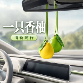 汽车清洁工具;车用香水香薰;车载电器