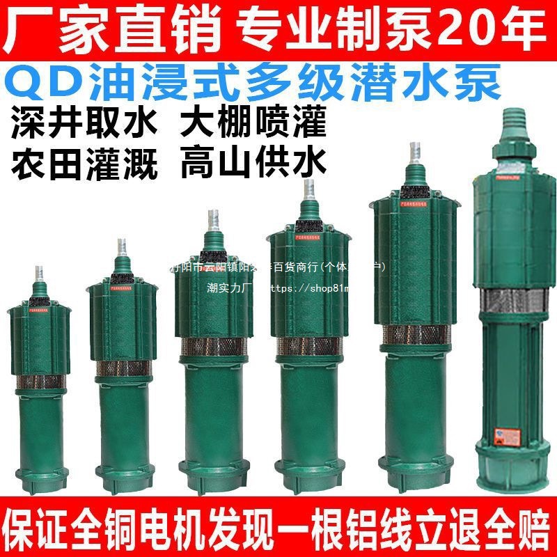 杜特机电QD多级潜水泵高扬程工地水泵小老鼠家用220V潜水电垒德株