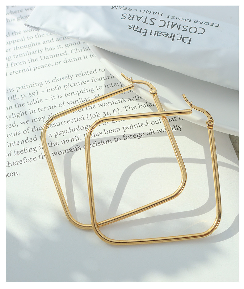 European And American Ins Style High Profile Fashion Personality Geometry Square Earrings Titanium Steel Plated 18k Real Gold Color Retaining Earrings F227 display picture 9