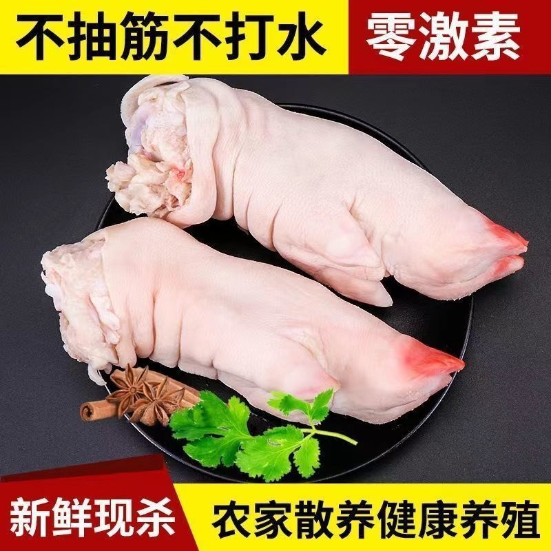 pig 's trotters Freezing wholesale fresh Backyard Pig Trotter Paw around household barbecue Perfect match