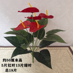 ���滨18�^�t�ƿ羳����Gֲ �Ҿߕ��hչ�d�t�ƻ����������