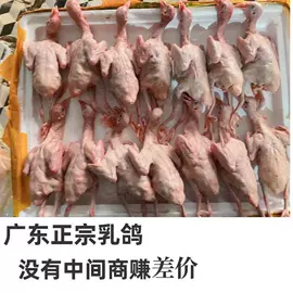 其他肉禽制品