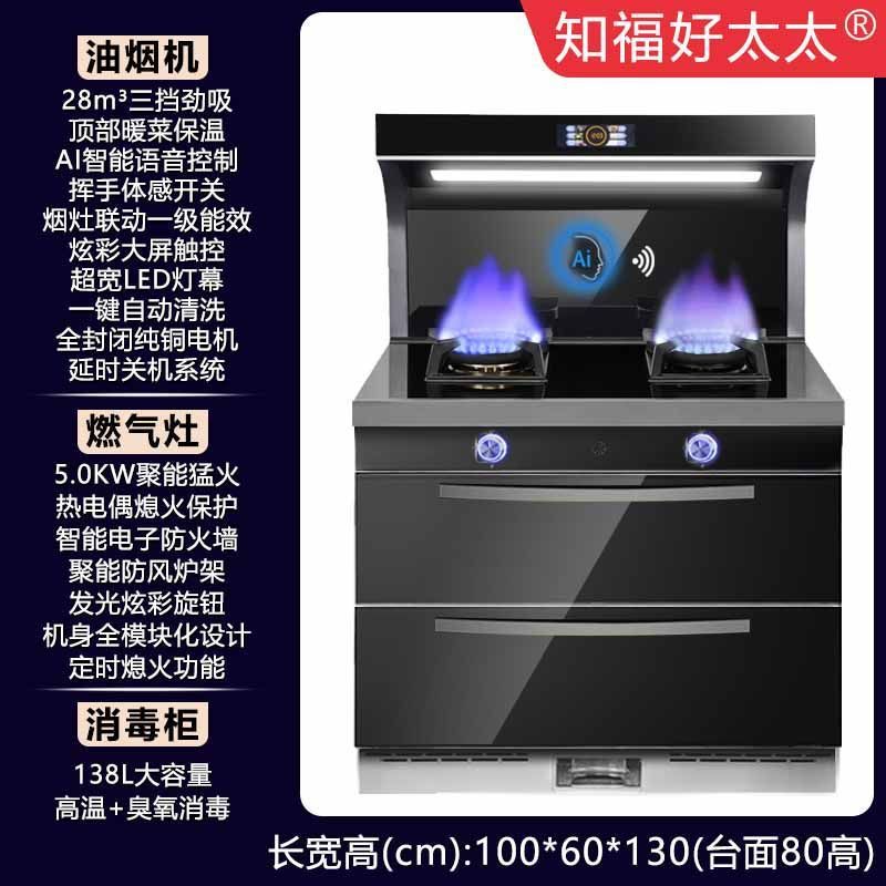 파이프 천연가스 [공장 직배송 및 택배] - 1000 캐비닛 [AI Xiaozhi 음성 대용량]