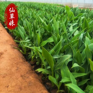 ˽Gֲˮ˽ͥԺˮضˮֲԾGֲ̨