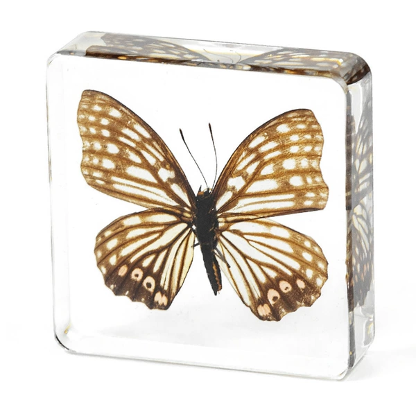 7.5 Fang Shuzhen Black Veined Butterfly