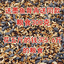 虎皮牡丹玄凤中小型鹦鹉鸟食饲料五色黍子鹦鹉混合营养粮谷子包邮