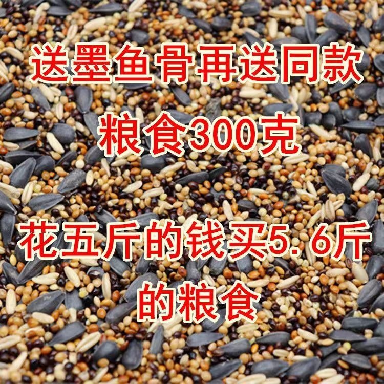 虎皮牡丹玄凤中小型鹦鹉鸟食饲料五色黍子鹦鹉混合营养粮谷子包邮