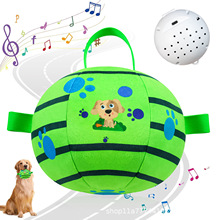 �羳��Ʒ�F؛����ë�q���USB���������������ĥ���␞�����