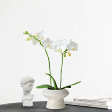 ��ɫ���������m�������m���ܾGֲ�������ͺ�����ֲ�������ļ����B