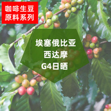 埃塞俄比亚 西达摩G4 日晒咖啡生豆批发可代烘焙磨粉