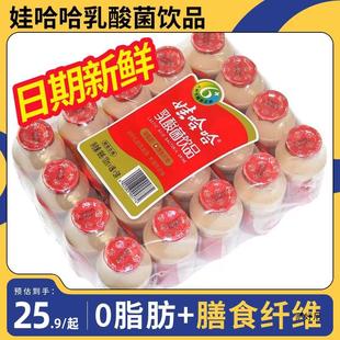 Wahaha Lactic Acid Drink 100ml*20 Bottles 0 Fat Probiotic Acid Fruit Milk Drink Wahaha Whole Box of Milk