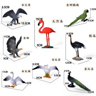 �羳���R�d�����w���B���ģ��������ȸ�W�^؈�^���r�B25��