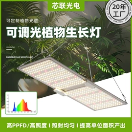 植物生长灯
