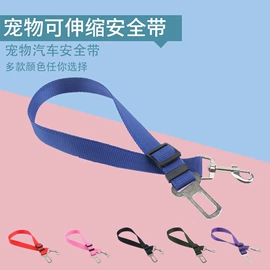 筋膜枪;卷发/直发器;狗狗牵引