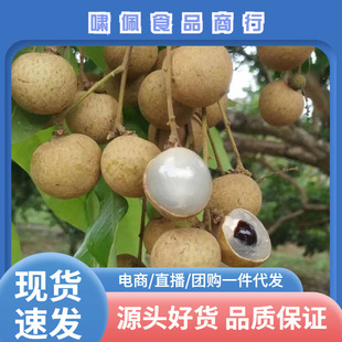 ̩���������rˮ�����A�Ϻ��l؛������]�G������һ�����lһ��