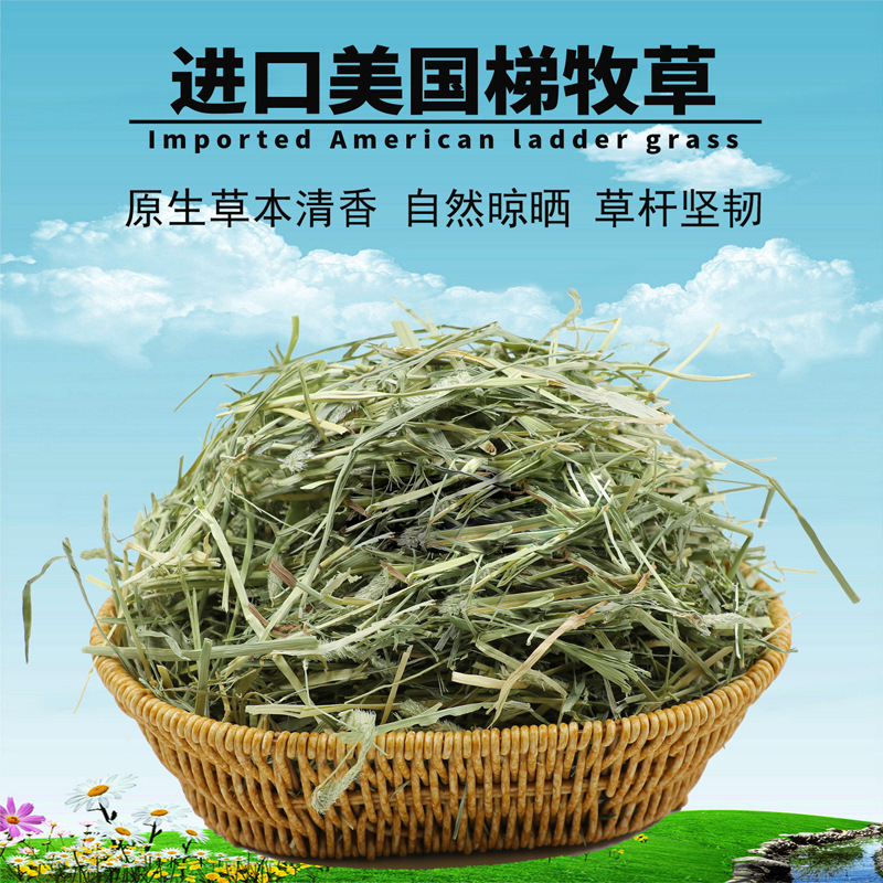 Sun-Dried Timothy Hay for Rabbits, Timothy Grass from Min County, North Timothy Grass for Guinea Pigs, Rabbit Food, Rabbit Feed Sun-Dried Timothy Hay for Rabbits, Timothy Grass from Min County, North Timothy Grass for Guinea Pigs, Rabbit Food, Rabbit Feed