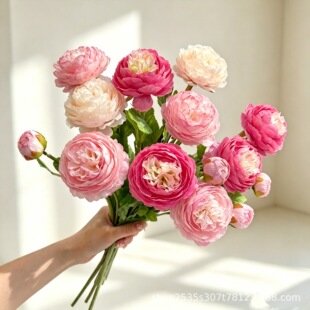�S�����l¶ɏ���滨�ɏ3�^�ɏ��ֲ�q��ĵ���ٻ��Ҿ�·����Y��