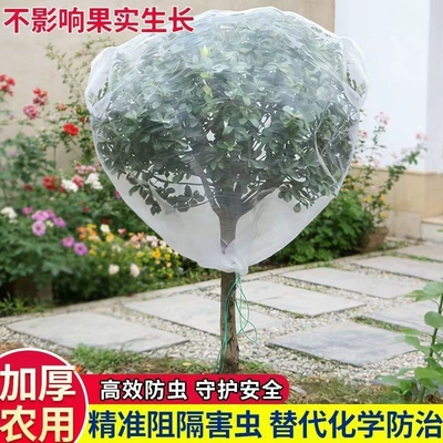 Fruit tree bird-proof net cover, fruit: Automobile anti-insect net