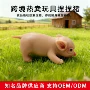 外贸解压认知仿真宠物猪