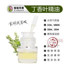 㾫 Ȼͺ sȡ~ Clove Oil l