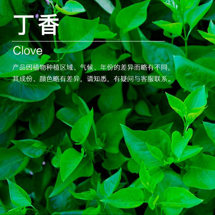 ��Ӧ���㴿¶ �������� ���Ҵ�¶���� ��ӭ��ѯ��ⱸ��������