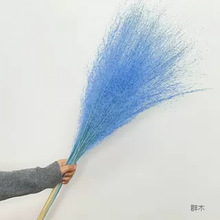 �¿���柟����ˇ�JȔ���F��횻�ˇ��������Շ��в����̈����