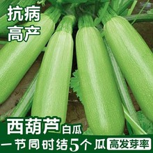 �����J�N��С�ϲ˹��ѹϽǹϸC��ռ�ϷN���ļ����N�a����