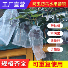 果树防虫网纱袋水果防鸟套袋防果蝇葡萄石榴防虫透光保护网纱袋