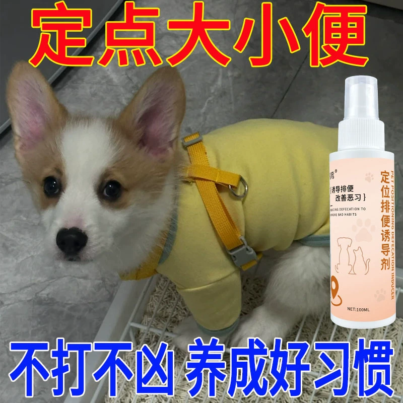 Щенок в туалете с фиксированной точкой индукента дефекации