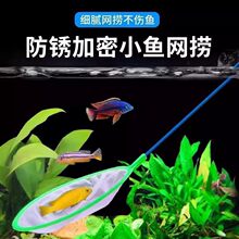 捞鱼网加厚小型捞鱼网圆形粗网捞鱼网鱼缸捞鱼网兜家用水族箱捞鱼