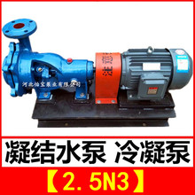 N型凝结水泵2.5N3 卧式单级单吸悬臂式离心冷凝泵 火力发电厂