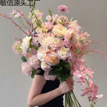 ۼtɫ滨cY÷ۼtɫϵ·廨bٽlS