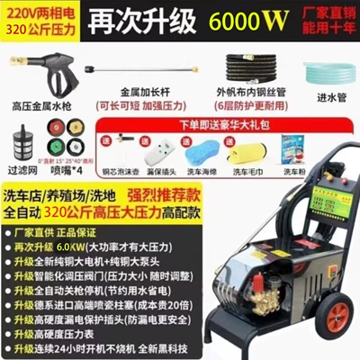 Portable car washer — Black Cat Weilin High-Pressure Car - 10m-outlet-pipe-220v60kw-320kg-pressure