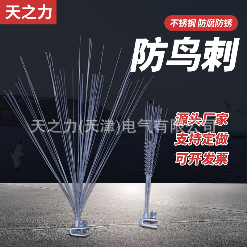 电力驱鸟刺镀锌防鸟刺电力防鸟刺弹簧丝鸟刺