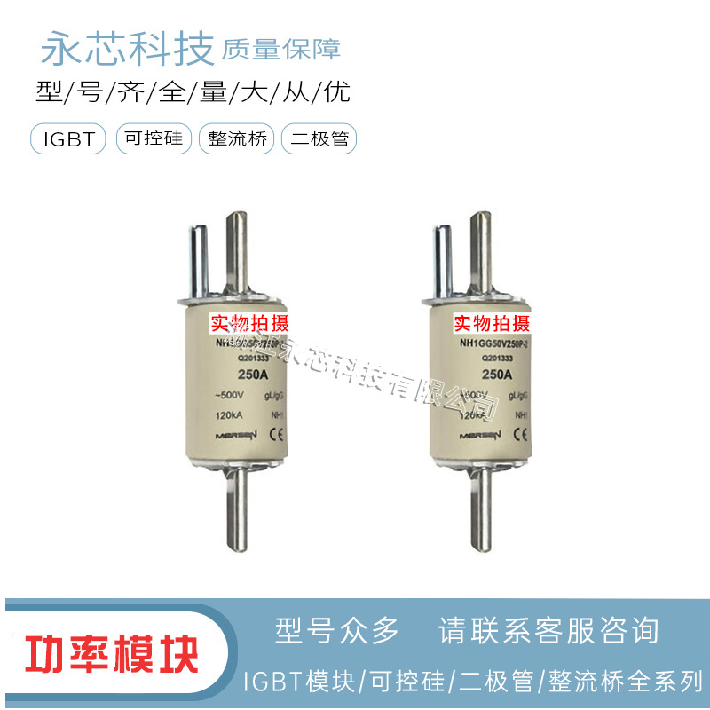 NH1GG50V250 NH1GG50V315 NH1GG50V355全新保险丝熔断器 现货直销