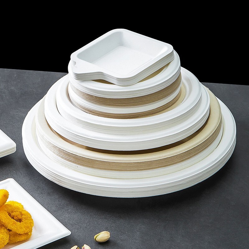 Cross-Border Foreign Trade Disposable Plates, Paper Plates, Food-Grade Plates for Catering, Kindergarten Drawing Plates, Biodegradable Household Barbecue Plates